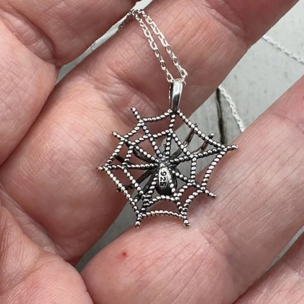 Spider Web Sterling Silver Spider Necklace